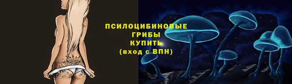 2c-b Беломорск