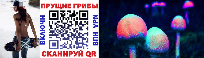 маркетплейс Telegram  Бийск  Псилоцибиновые грибы Psilocybine cubensis 
